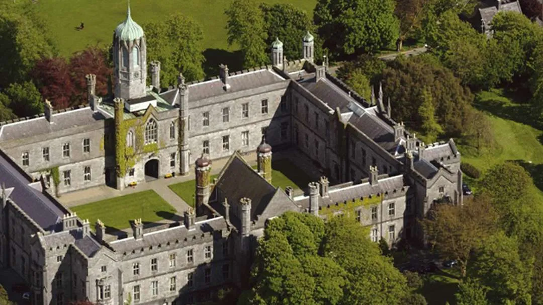 Undergraduate Studies in Ireland
