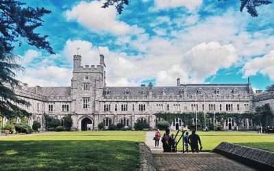 Career Boosts and After Study Job Opportunities in Ireland