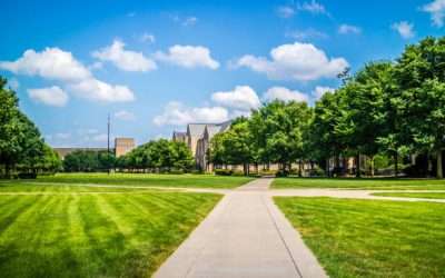 Top Law Schools Offering LLM Programmes in Dubai