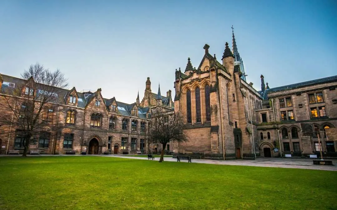 What Are the Best Universities for Business Analytics in Ireland?